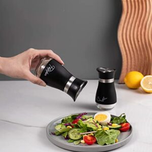 Salt and Pepper Shakers, Stainless Steel and Glass Bottle, Set of 2, Black