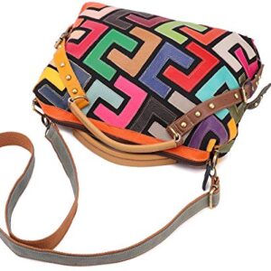 Women's Multicolor Tote Handbag Genuine Leather Design Hobo Shoulder Bag Purses (Multicoloured-C)