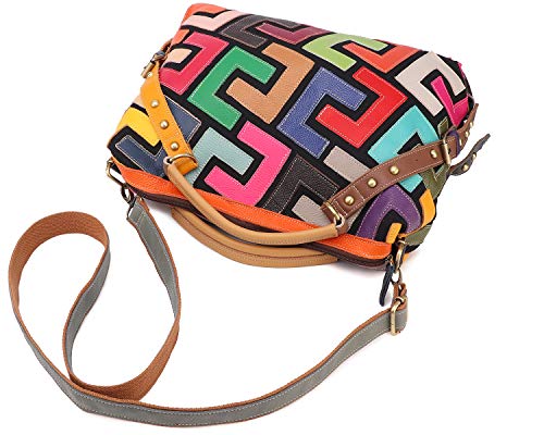 Women's Multicolor Tote Handbag Genuine Leather Design Hobo Shoulder Bag Purses (Multicoloured-C)