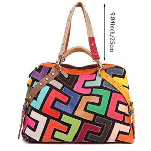 Women's Multicolor Tote Handbag Genuine Leather Design Hobo Shoulder Bag Purses (Multicoloured-C)