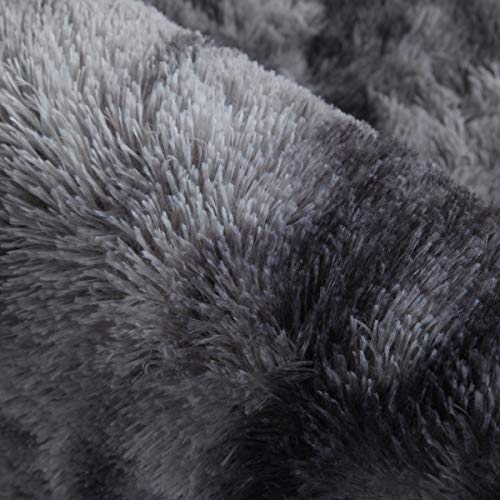 4X6 Dark Grey Area Rugs Modern Home Decorate Soft Fluffy Carpets for Living Room Bedroom Kids Room Fuzzy Plush Non-Slip Floor Area Rug Fluffy Indoor Carpet