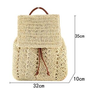 ZLM BAG US Handwoven Straw Backpack for Women Bohemian Beach Backpack Purse Drawstring Closure Casual Daypack