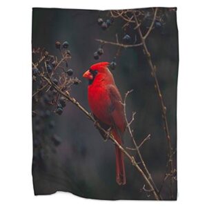 swono red bird throw blanket,northern cardinal bird on the tree branch thorw blanket soft warm decorative blanket for bed couch sofa office blanket 30″x40″