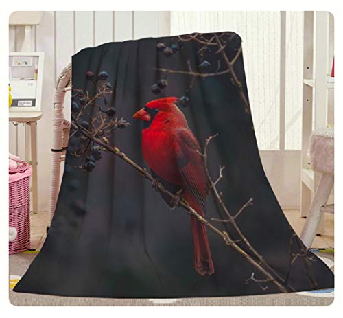 Swono Red Bird Throw Blanket,Northern Cardinal Bird On The Tree Branch Thorw Blanket Soft Warm Decorative Blanket for Bed Couch Sofa Office Blanket 30"X40"