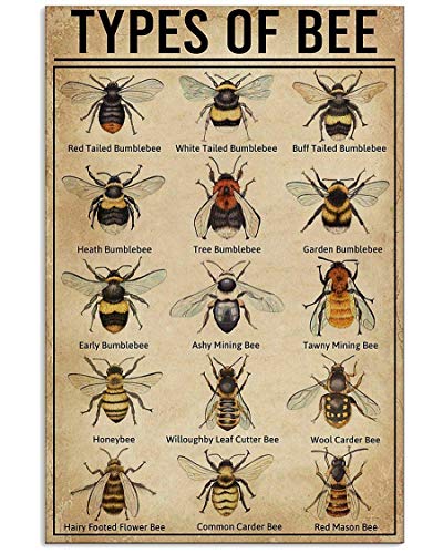 Types of Bee Retro Nostalgic Art Print Poster Tin Sign Cafe Bar Metal Sign Garage Plaque 8x12 Inches