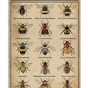 Types of Bee Retro Nostalgic Art Print Poster Tin Sign Cafe Bar Metal Sign Garage Plaque 8x12 Inches