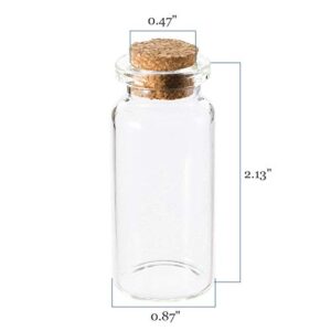 Kingrol 100 Pack 10ml Glass Bottles with Cork Stoppers, Mini Bottle with Personalized Label Tags and String for Arts Crafts Projects, Decoration, Party Favors