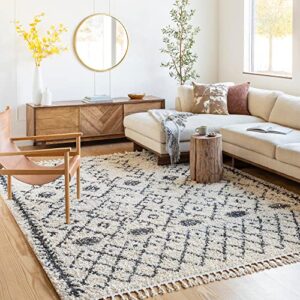 Mark&Day Area Rugs, 5x7 Macolm Bohemian/Global Charcoal Area Rug, Beige/Black/Cream Carpet for Living Room, Bedroom or Kitchen (5'3" x 7'3")