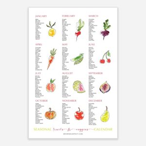 seasonal fruit and vegetable calendar print of original watercolor art – 12″x18″ – unframed – kitchen decor, dining room wall art, health poster for classroom