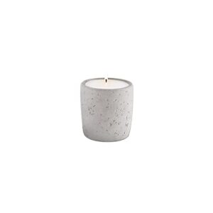 jw marriott rooted candle – notes of sycamore, sage, cedarwood and sandalwood – soy wax blend in concrete jar – 2 oz.