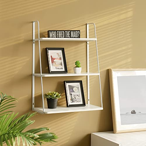 WELLAND 3-Tier Display Wall Shelf Storage Rack Wall Rack Holder Rack (3-Tier, White)