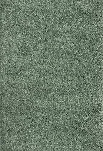 nuLOOM Belleza Shag Accent Rug, 2' x 3', Green