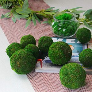 AMEICE Moss Balls Decorative Authentic Real Preserved Moss Hanging Balls for Garden Patio Home Table Decor Party &Weddings Display Props Farmhouse Style Décor（2.4" Green 12Pcs）