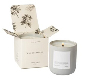 sisu scents | fresh focus | sicilian lemon, jasmine & lemon flower | luxury scented jar candle | made in california | vegan & clean burning | 8oz