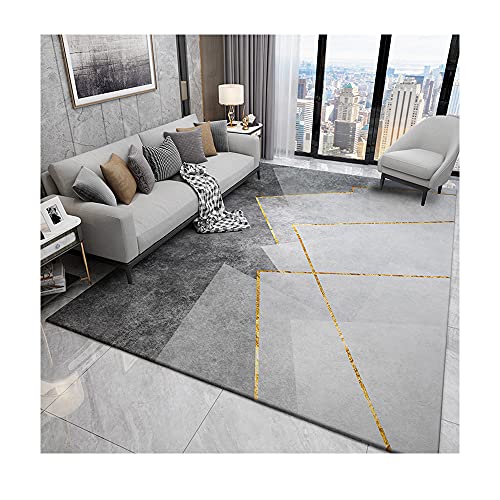 SHNOSU Modern Abstract Geometric Area Rug 6' x 9', Non-Shedding Grey Floor Carpet for Living Room,Bedroom,Dining Room