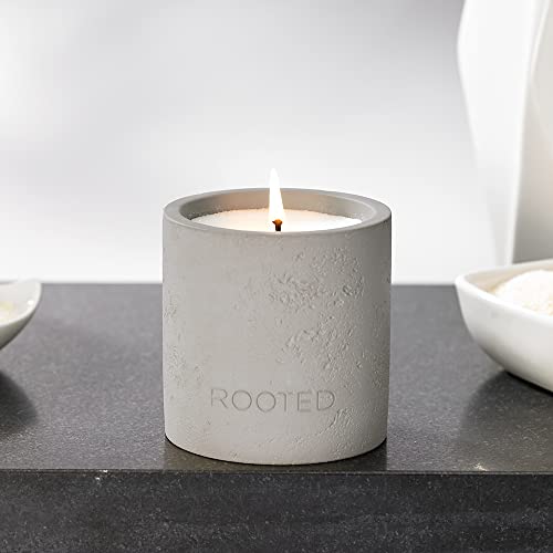 JW Marriott Rooted Candle - Notes of Sycamore, Sage, Cedarwood and Sandalwood - Soy Wax Blend in Concrete Jar - 12.5 oz.