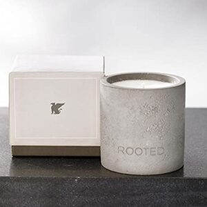 JW Marriott Rooted Candle - Notes of Sycamore, Sage, Cedarwood and Sandalwood - Soy Wax Blend in Concrete Jar - 12.5 oz.