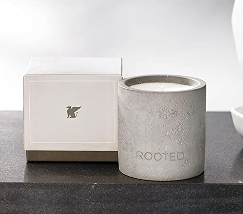 JW Marriott Rooted Candle - Notes of Sycamore, Sage, Cedarwood and Sandalwood - Soy Wax Blend in Concrete Jar - 12.5 oz.