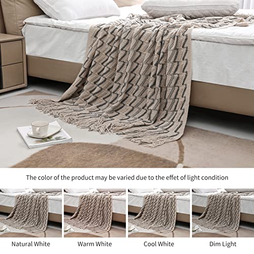 Bigreat Knitted Throw Blanket, 50x60 Inch, Textured Throw Blankets for Couch Bed Sofa Travel, Knit Woven Blanket for Women, Men and Kids, Boho Decorative Blanket with Tassels