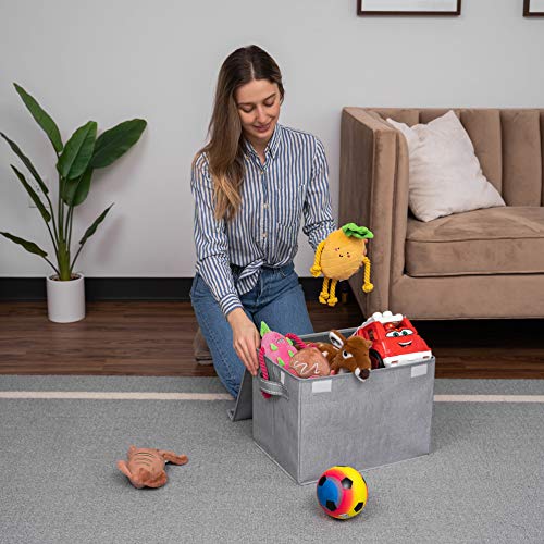 VENO 4 Pack Large Collapsible Storage Bin with Lid, Decorative Box, Cube, Organizer, Container for Home Office Shelf Closet Toys Clothes Sundries, Reusable and Sustainable (Gray - Set of 4)