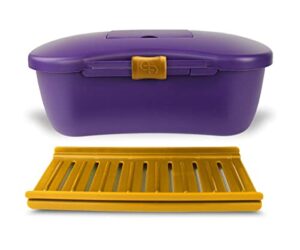 joyboxx + playtray limited edition purple / gold