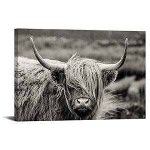 iknow foto black and white canvas wall art highland cow cattle picture prints texas longhorn painting farm animal artwork for home decor modern living room bedroom decorations ready to hang 32x48inch