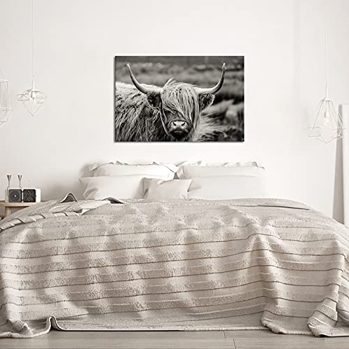 iKNOW FOTO Black and White Canvas Wall Art Highland Cow Cattle Picture Prints Texas Longhorn Painting Farm Animal Artwork for Home Decor Modern Living Room Bedroom Decorations Ready to Hang 32x48inch