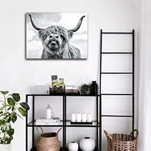 Highland Cow Canvas Print Black and White Highland Cow Wall Art Farmhouse Wall Decor Longhorn Highland Cattle Picture Stretched and Framed Ready to Hang for Living Room Bathroom Decor 12x16inch for fengyuyi