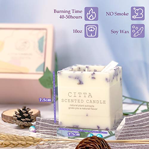 Orentas, Scented Ice Cream Candles & Cube Set, Pure Natural Soybean, Plant Mix for Aromatherapy Wax, for Home Meditation, Mother's Day Gift, Birthday Gift, 2 Bulk Packs (French Vanilla Ice-Cream)