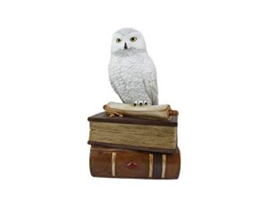 world of wonders wizard school white owl sculpture decorative box with lid | knick nacks for shelves and owl decor | home decor for table top | book lover gift – 9″