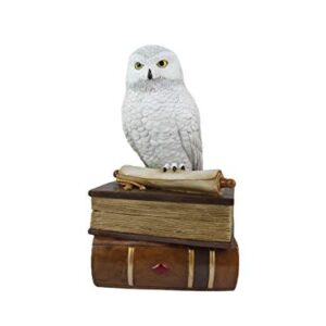 World of Wonders Wizard School White Owl Sculpture Decorative Box with Lid | Knick Nacks for Shelves and Owl Decor | Home Decor for Table Top | Book Lover Gift - 9"