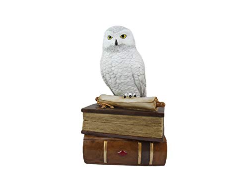 World of Wonders Wizard School White Owl Sculpture Decorative Box with Lid | Knick Nacks for Shelves and Owl Decor | Home Decor for Table Top | Book Lover Gift - 9"