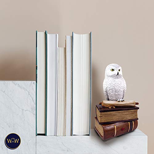 World of Wonders Wizard School White Owl Sculpture Decorative Box with Lid | Knick Nacks for Shelves and Owl Decor | Home Decor for Table Top | Book Lover Gift - 9"