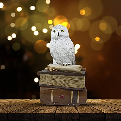 World of Wonders Wizard School White Owl Sculpture Decorative Box with Lid | Knick Nacks for Shelves and Owl Decor | Home Decor for Table Top | Book Lover Gift - 9"