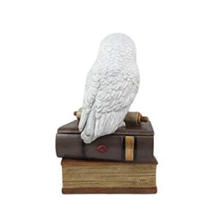 World of Wonders Wizard School White Owl Sculpture Decorative Box with Lid | Knick Nacks for Shelves and Owl Decor | Home Decor for Table Top | Book Lover Gift - 9"