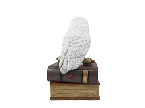 World of Wonders Wizard School White Owl Sculpture Decorative Box with Lid | Knick Nacks for Shelves and Owl Decor | Home Decor for Table Top | Book Lover Gift - 9"