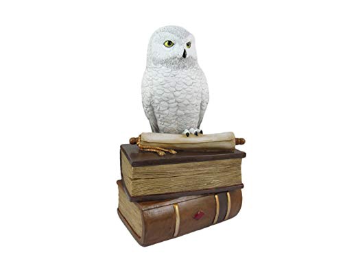 World of Wonders Wizard School White Owl Sculpture Decorative Box with Lid | Knick Nacks for Shelves and Owl Decor | Home Decor for Table Top | Book Lover Gift - 9"