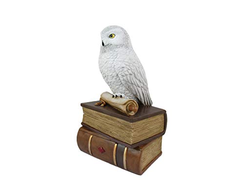 World of Wonders Wizard School White Owl Sculpture Decorative Box with Lid | Knick Nacks for Shelves and Owl Decor | Home Decor for Table Top | Book Lover Gift - 9"