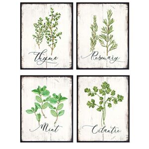 botanical herbs and spices kitchen decor – dining room decor – larousse gastronomique wall art for cafe, restaurant – gift for cooks, chefs – rustic vintage sign photo decoration – 8×10 unframed