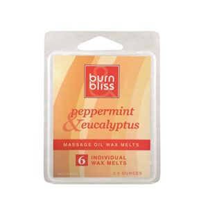 burn & bliss – revitalizing peppermint & eucalyptus scented soy wax melts – sensual & romantic kama sutra aromatherapy wax melts for intimacy or relaxing