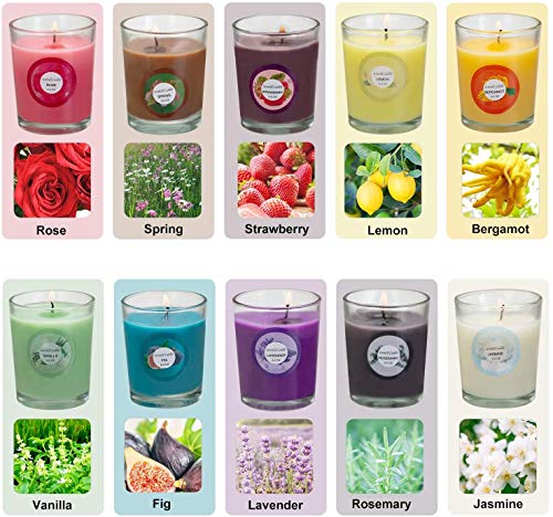 Onebird Scented Candles, Anxiety Reducer Jasmine, Rose, Vanilla, Bergamot, fig, Lavender, Lemon, Spring,Strawberry, Rosemary, Aromatherapy Organic Massage Candles - 20 Pack