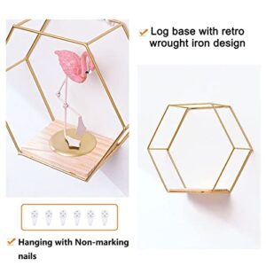 Morobor Wall Mounted Floating Hexagon Shelves,3pcs Different Sizes Metal Framed Gold Shelves with Wooden Floor for Wall Storage & Display in Modern Chic Style