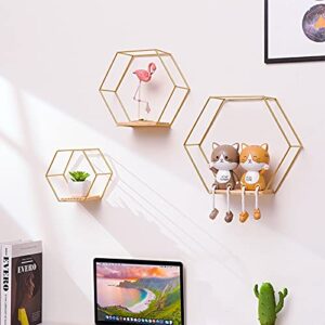 Morobor Wall Mounted Floating Hexagon Shelves,3pcs Different Sizes Metal Framed Gold Shelves with Wooden Floor for Wall Storage & Display in Modern Chic Style