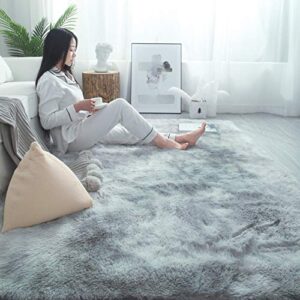 Rainlin Shaggy 3x5 Area Rug Modern Indoor Plush Fluffy Rugs, Extra Soft Comfy Carpets, Cute Cozy Area Rugs for Bedroom Living Room Girls Boys Kids, Grey