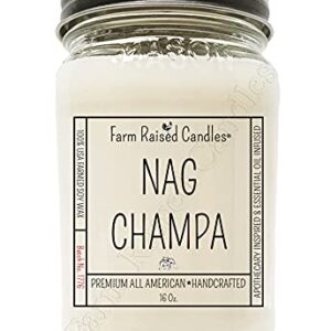 Nag Champa Oil Soy Candles - Large 16 Ounces / All American Handcrafted - Farm Raised Candles - Plant Candle - 80+ Hour Burn - 100% Natural American Farmed Soy Wax Candles. Incense Candle.