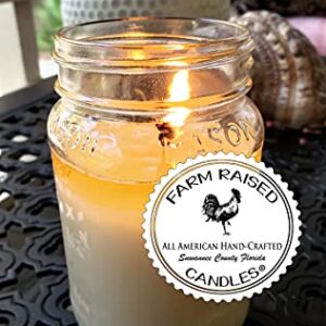 Nag Champa Oil Soy Candles - Large 16 Ounces / All American Handcrafted - Farm Raised Candles - Plant Candle - 80+ Hour Burn - 100% Natural American Farmed Soy Wax Candles. Incense Candle.