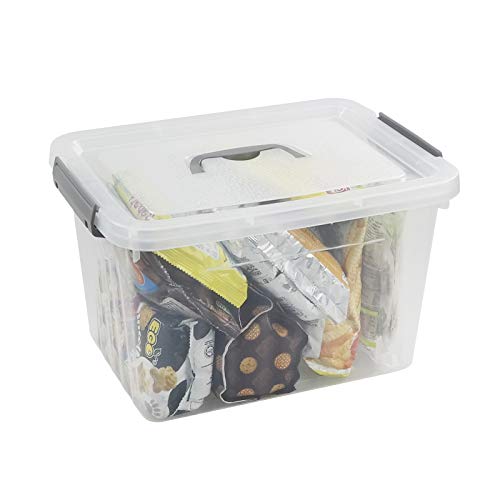 Lesbin 4-Pack Clear Plastic Storage Latch Box with Lids, 10 L