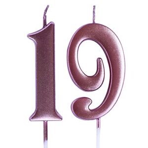 rose 19th birthday candle, number 19 years old candles cake topper, boy or girl party decorations, supplies