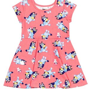 Bluey Toddler Girls Skater Dress Pink 5T