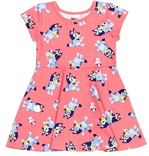 Bluey Toddler Girls Skater Dress Pink 5T